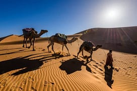 DESERT TOUR EXPRESS Tour in Marocco di 05 GIORNI e 04 NOTTI DESERT TOUR EXPRESS= Desert Tour è tra le più richieste esperienze offerte in Marocco