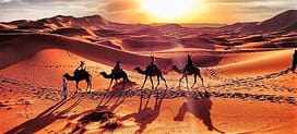 Mitico Deserto del Sahara, il più grande deserto del mondo, di oltre 9 milioni di chilometri quadrati. Il Deserto del Sahara, nella sua...