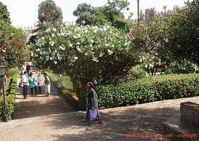 Visitiamo Rabat. I Giardini Oudaya, hanno uno splendido stile ispano-moresco. Scoperto negli anni '20, da Tranchant De Lunel, architetto preferito da Lyautey,