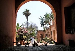  I Giardini Oudaya, hanno uno splendido stile ispano-moresco. Scoperto negli anni '20, da Tranchant De Lunel, architetto preferito da Lyautey,