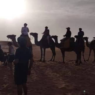 carovana dromedari nel deserto del sahara da merzouga all'erg chebbi marocco viaggiorganizzatiinmarocco