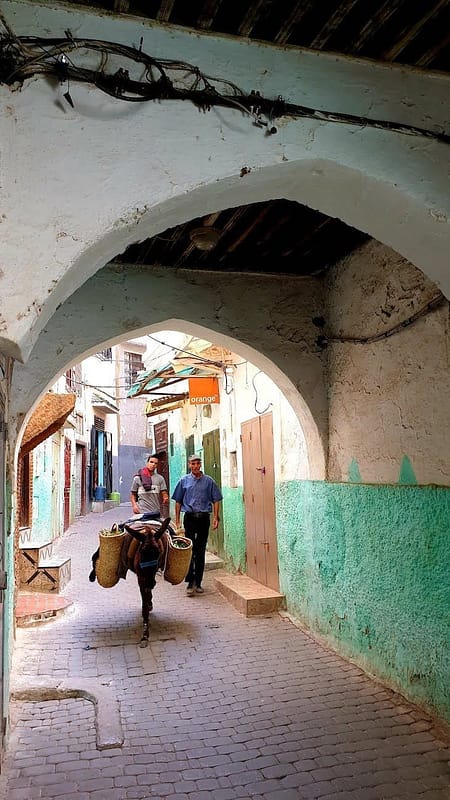 Con mura e tetti decorati in verde, si estende in maniera compatta, con strade strette tipiche delle medine marocchine